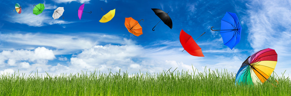 Umbrella insurance in texas